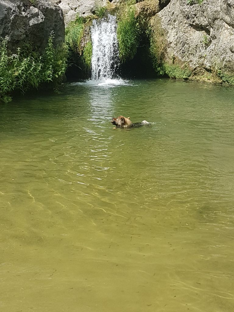 Sintara Des Terres d'Orya