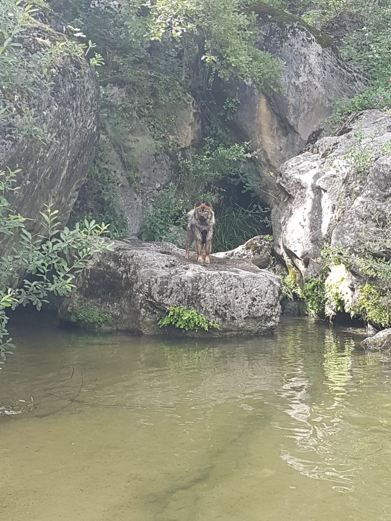 Sintara Des Terres d'Orya