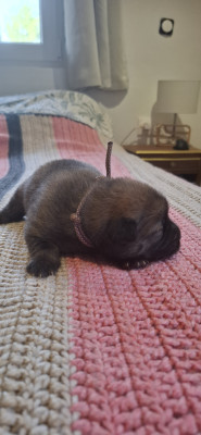 Miss Lila